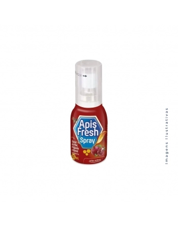 MEL C/PROPOLIS E ROMA SPRAY 35ML APIS FRESH (ARTE NATIVA)