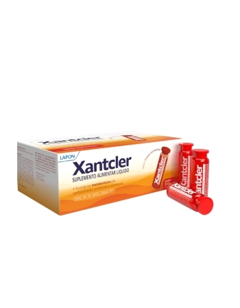 XANTCLER FRUTAS VERMELHAS C/60FLAC.